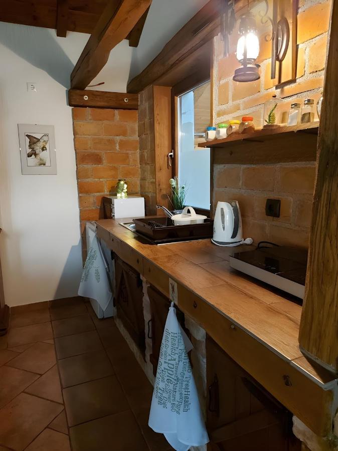 Studio Apartman Buteo Ястребарсько Екстер'єр фото