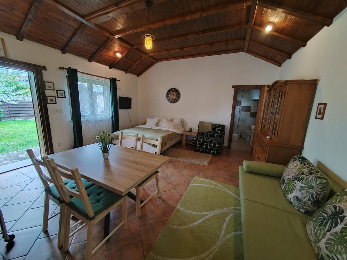 Studio Apartman Buteo Ястребарсько Екстер'єр фото